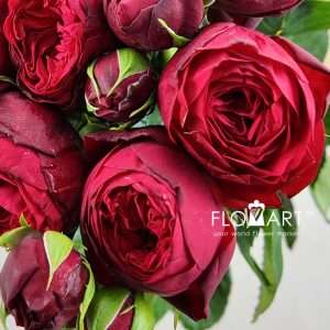 Rosa Garden Red Piano - Image 2