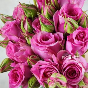 Rosa Garden Spray Amelily
