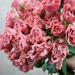 Rosa Garden Spray Valentina
