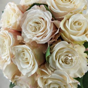 Rosa Garden White Ashley
