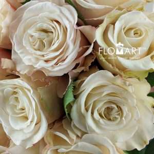 Rosa Garden White Ashley - Image 2