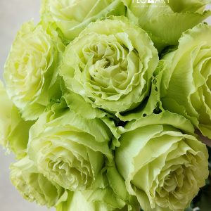 Rosa Limonade