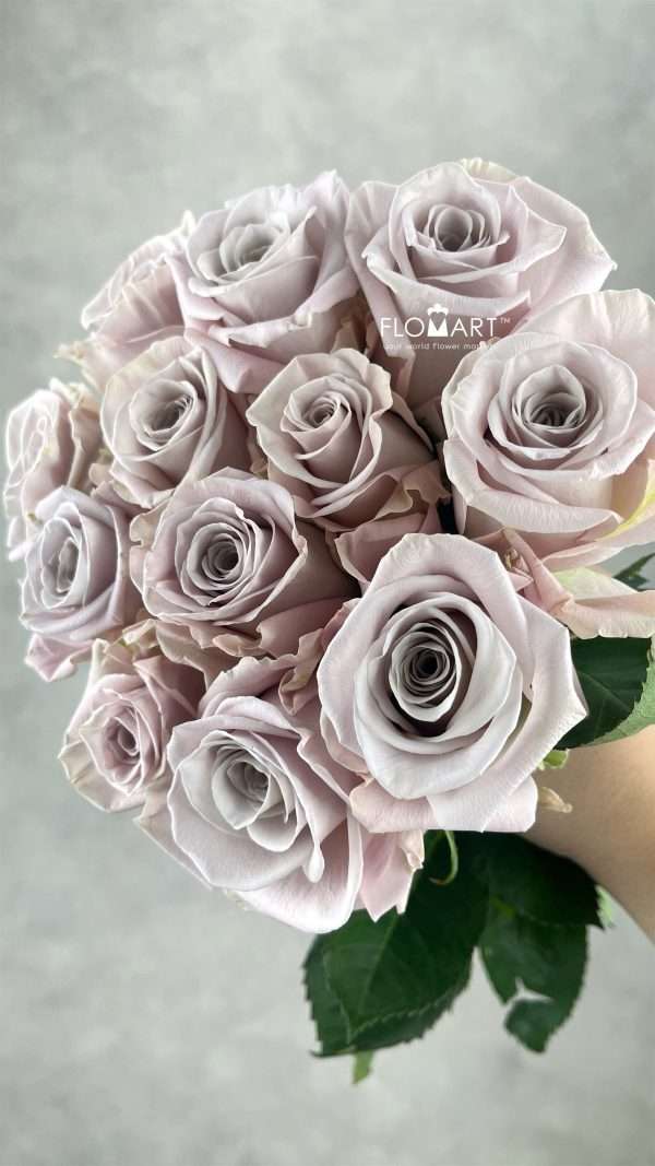 Rosa Menta
