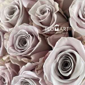 Rosa Menta - Image 2