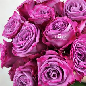Rosa Moody Blues