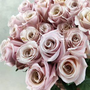 Rosa Mother of Pearls