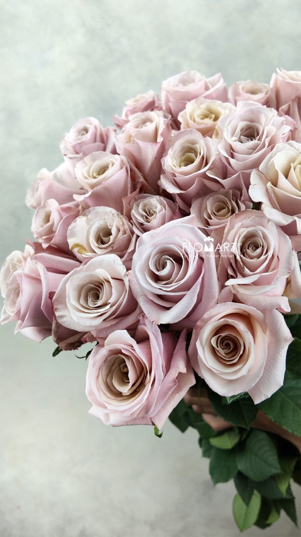 Rosa Mother of Pearls