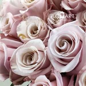 Rosa Mother of Pearls - Image 2