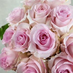 Rosa Nena