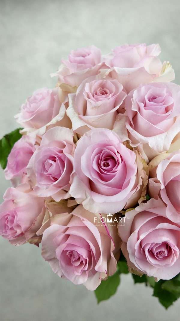 Rosa Nena