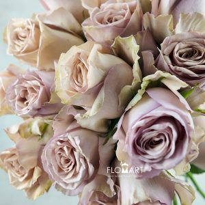 Rosa Nude