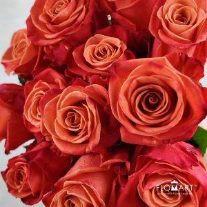Rosa Orange Crush