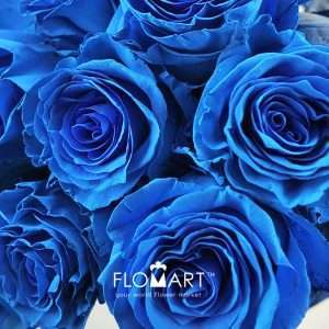 Rosa Painted Heaven - Image 2