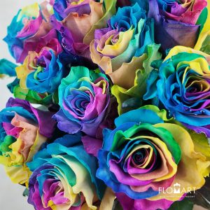 Rosa Painted Rainbow