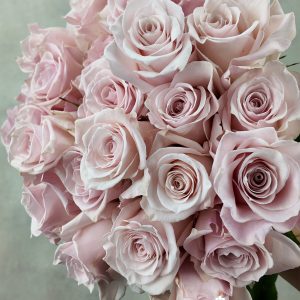 Rosa Pink Cloud