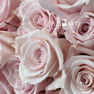 Rosa Pink Cloud - Image 2