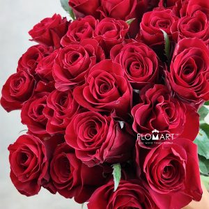 Rosa Redvolution