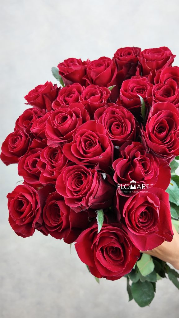 Rosa Redvolution