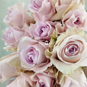 Rosa Remembrance