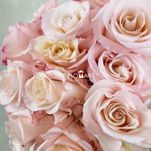Rosa Rhoslyn