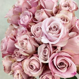 Rosa Secret Garden