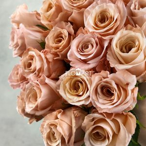 Rosa Shimmer