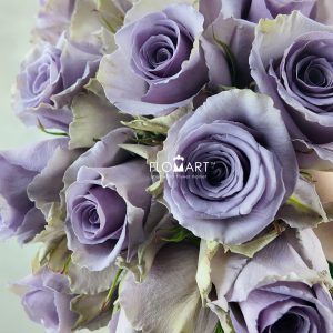 Rosa Shocking Blue