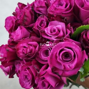 Rosa Shogun