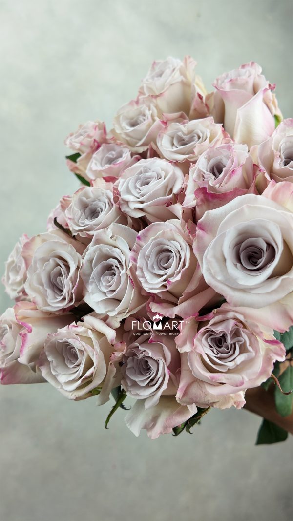 Rosa Silver Sand