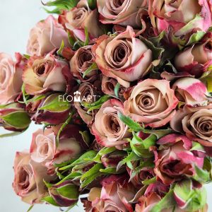 Rosa Spray Cappuccino