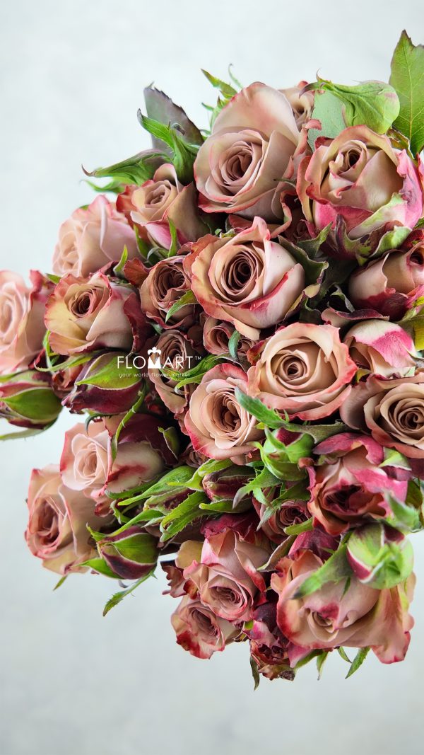 Rosa Spray Cappuccino