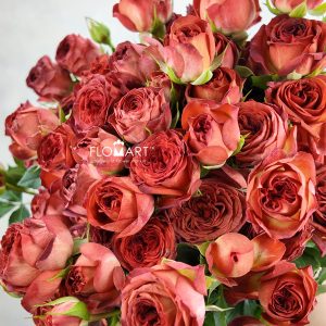Rosa Spray Chocolate Bubble