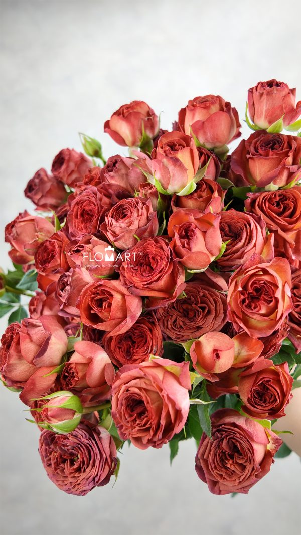 Rosa Spray Chocolate Bubble