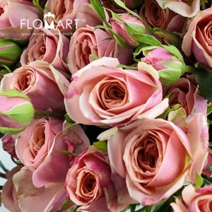 Rosa Spray Dotey Lover - Image 2