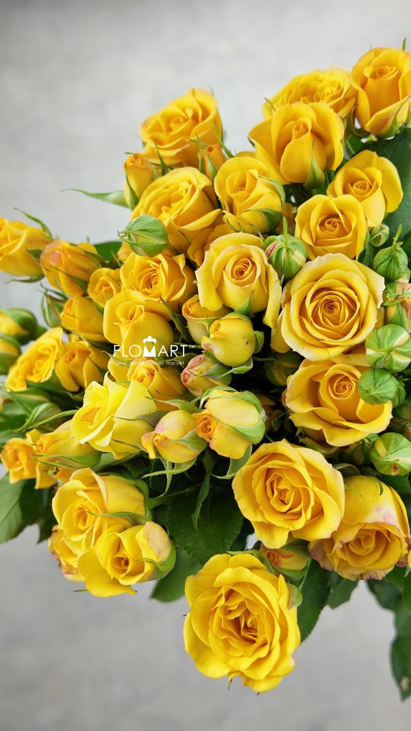 Rosa Spray Dream Bobby