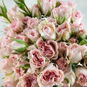 Rosa Spray Mermaid Princess