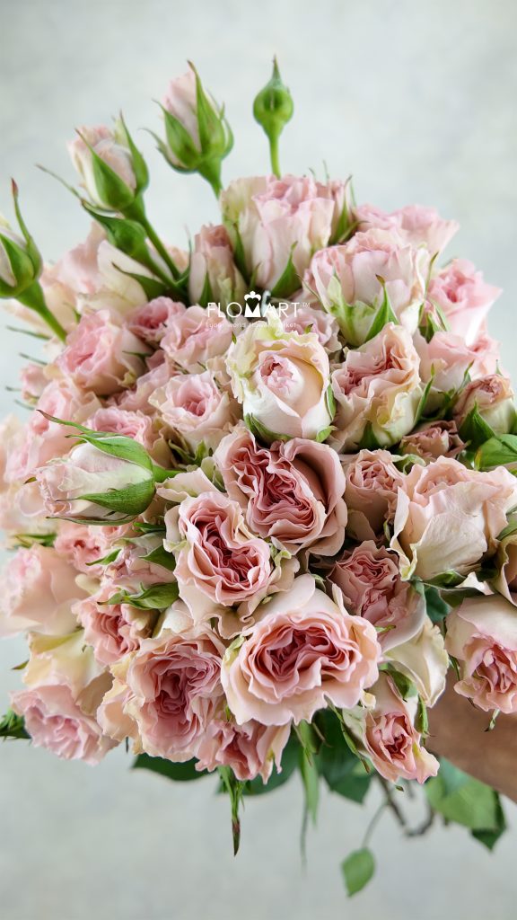Rosa Spray Mermaid Princess