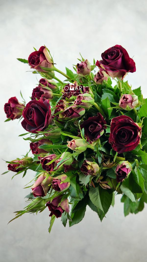 Rosa Spray Pretty