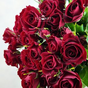 Rosa Spray Red Velvet