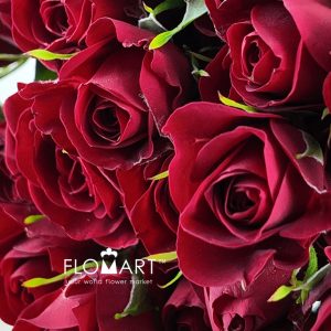 Rosa Spray Red Velvet - Image 2