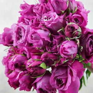 Rosa Spray Sauvignon Blanc