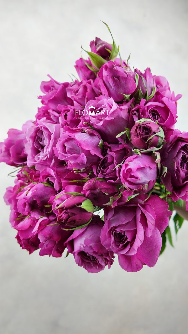 Rosa Spray Sauvignon Blanc