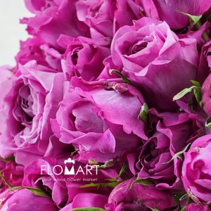 Rosa Spray Sauvignon Blanc - Image 2