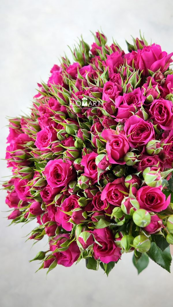 Rosa Spray Sophie