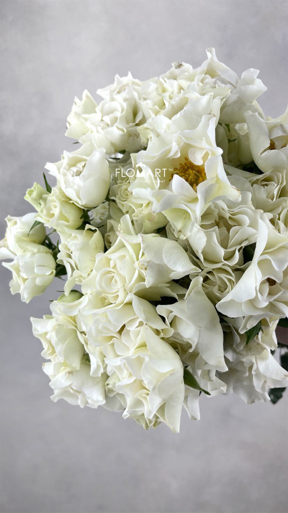 Rosa Spray Wedding Dress