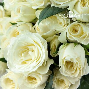 Rosa Spray White Bubble - Image 2