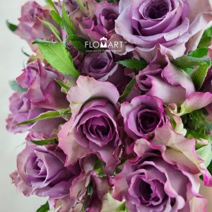 Rosa Spray Zixia Fairy