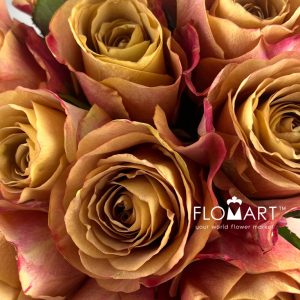 Rosa Symbol - Image 2