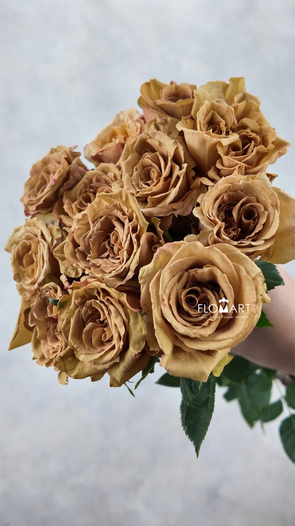 Rosa Toffee