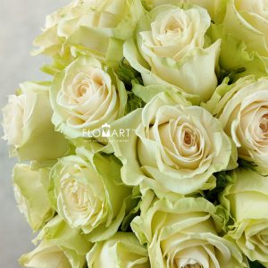 Rosa Wedding Dance